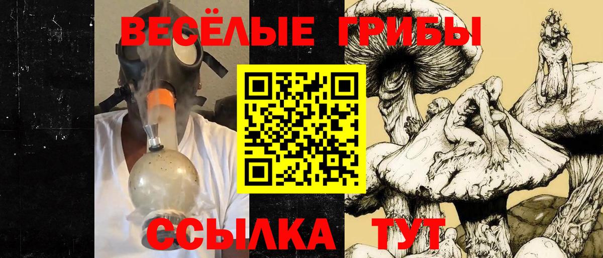 Псилоцибиновые грибы GOLDEN TEACHER Ленинск-Кузнецкий