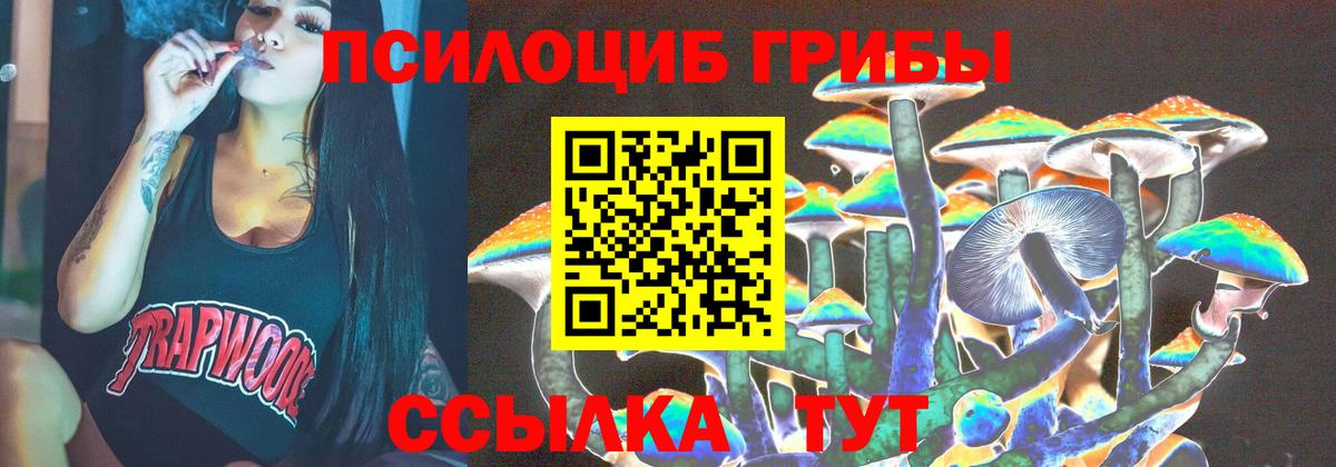 Псилоцибиновые грибы ЛСД  Галлюциногенные грибы Psilocybe  Ленинск-Кузнецкий  Вход с VPN 